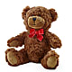 Adorable Plush Bear – SOUTHERN BELLE'S FLORIST, Easley SC