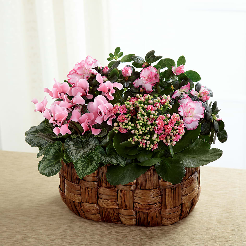 Pink Assortment – SOUTHERN BELLE'S FLORIST, Easley SC