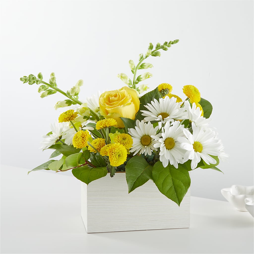 Sun Salutation Box Bouquet – SOUTHERN BELLE'S FLORIST, Easley SC