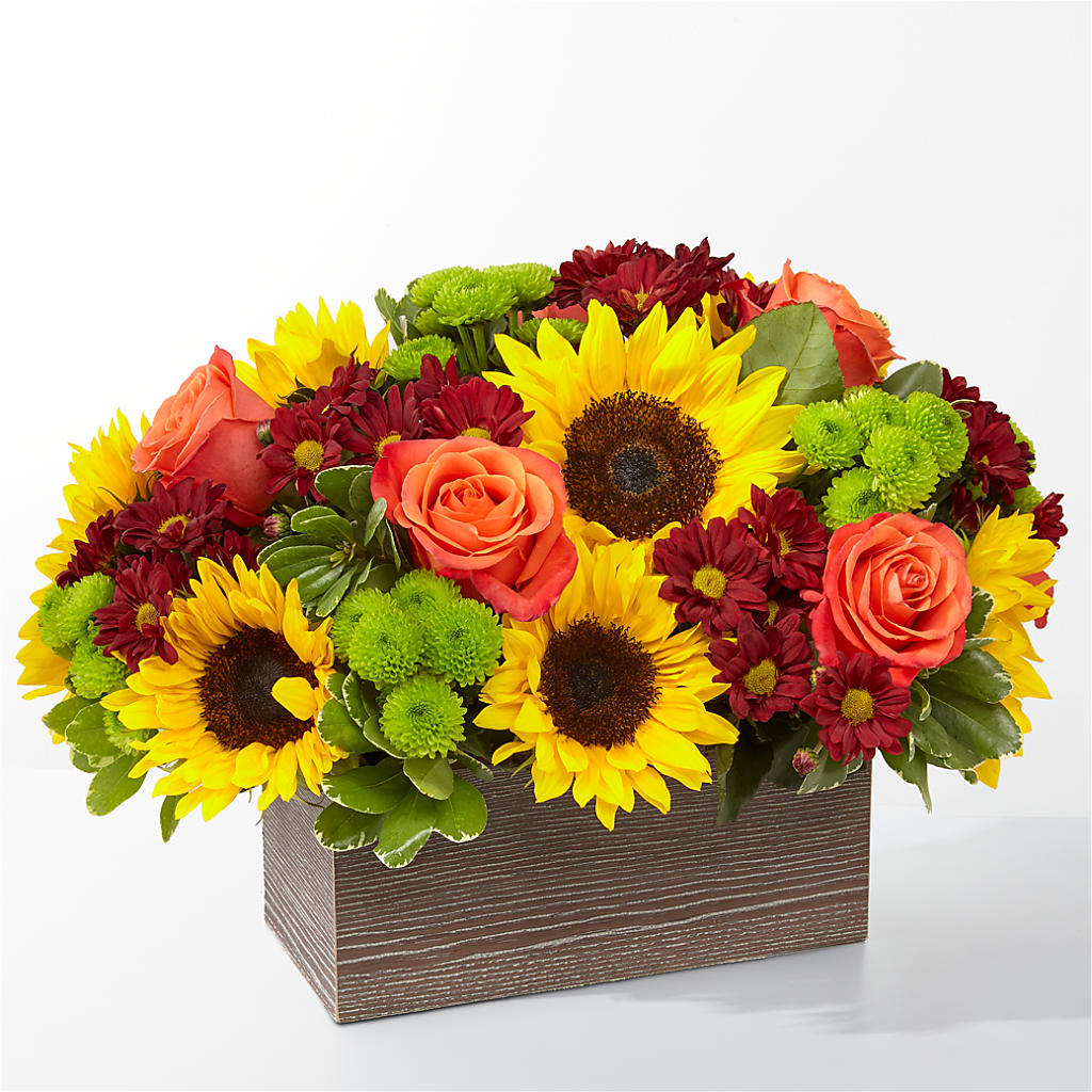 Happy Harvest Garden – SOUTHERN BELLE'S FLORIST, Easley SC