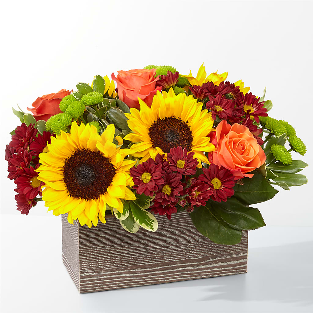 Happy Harvest Garden – SOUTHERN BELLE'S FLORIST, Easley SC