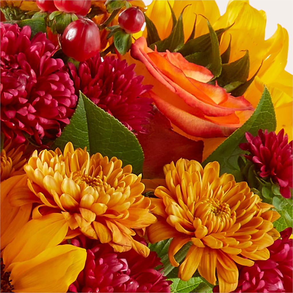 Sweater Season - A Florist Original – SOUTHERN BELLE'S FLORIST, Easley SC