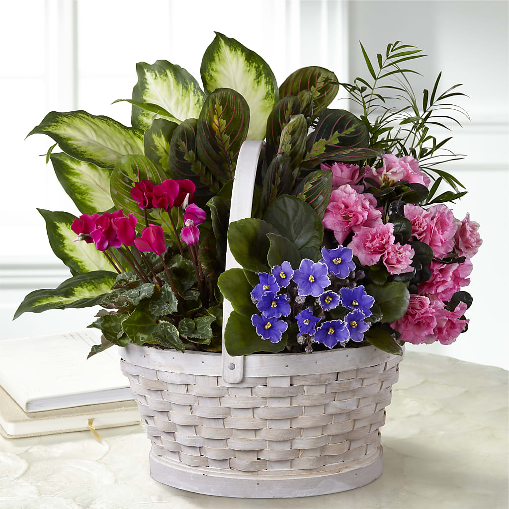 Peaceful Garden Planter – SOUTHERN BELLE'S FLORIST, Easley SC