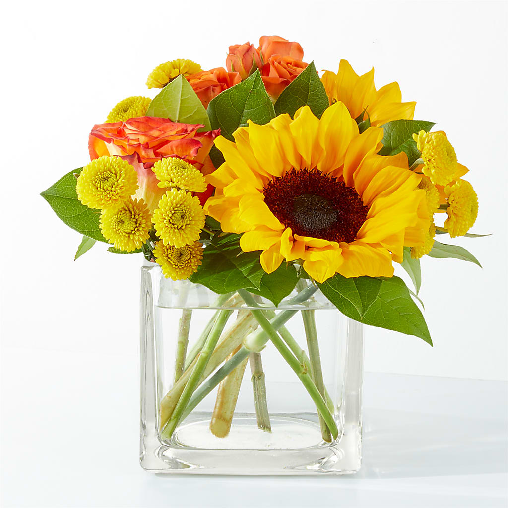 Picnic in the Park Bouquet – SOUTHERN BELLE'S FLORIST, Easley SC