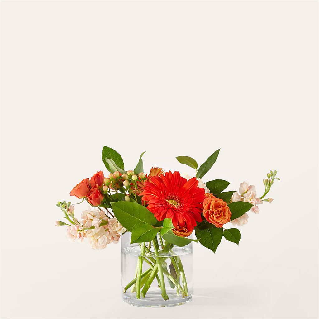 Paloma Please Bouquet – SOUTHERN BELLE'S FLORIST, Easley SC