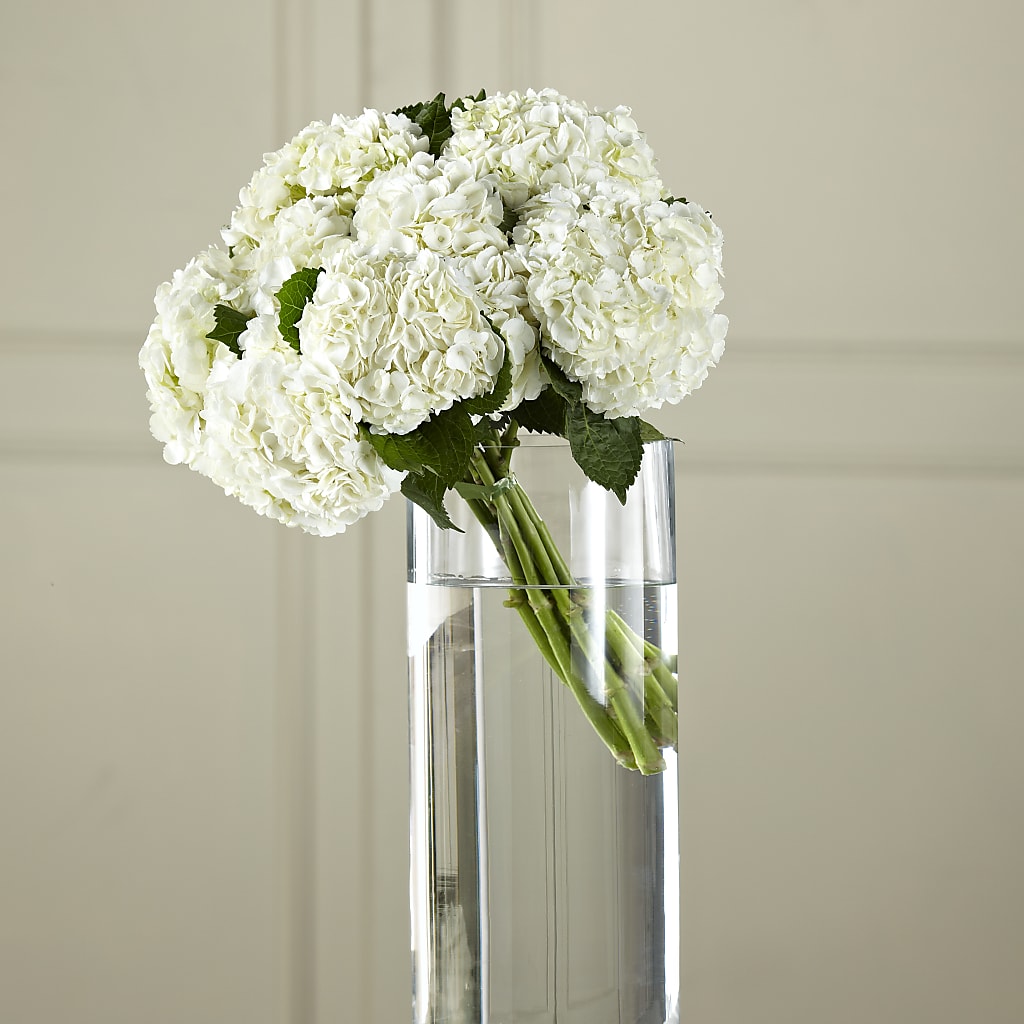 White Hydrangea Hand-Tied Bouquet – SOUTHERN BELLE'S FLORIST, Easley SC