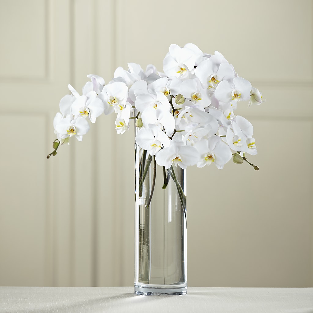 White Phalaenopsis Bouquet – SOUTHERN BELLE'S FLORIST, Easley SC