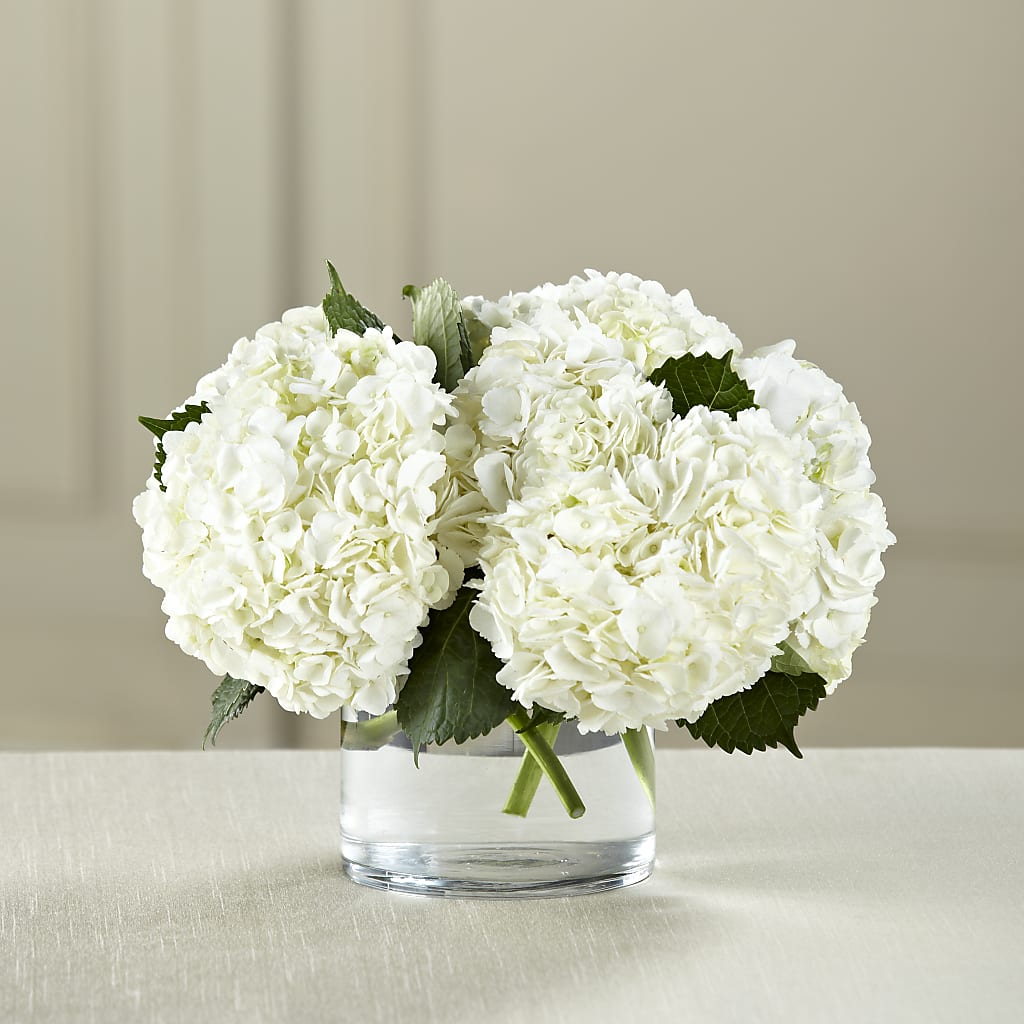 White Hydrangea Bouquet – SOUTHERN BELLE'S FLORIST, Easley SC