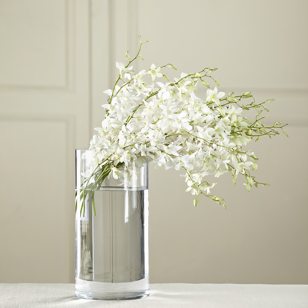 White Dendrobium Bouquet – SOUTHERN BELLE'S FLORIST, Easley SC