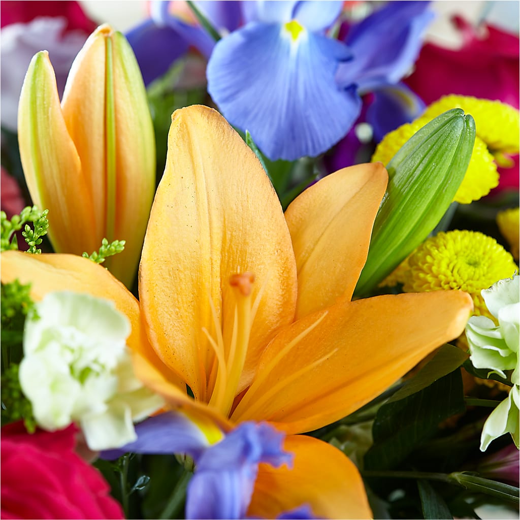 Bold & Bright – A Florist Original – SOUTHERN BELLE'S FLORIST, Easley SC