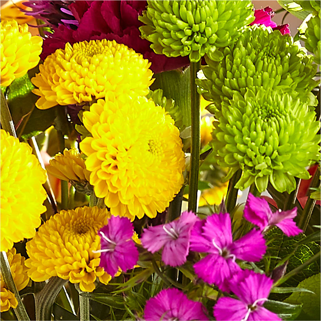Bold & Bright – A Florist Original – SOUTHERN BELLE'S FLORIST, Easley SC