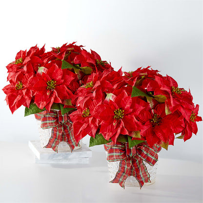 Happiest Holidays Poinsettia Bundle – SOUTHERN BELLE'S FLORIST, Easley SC