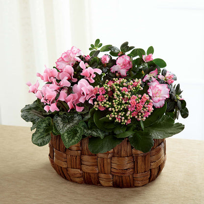 Pink Assortment – SOUTHERN BELLE'S FLORIST, Easley SC