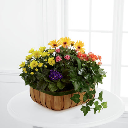 Gentle Blossoms Basket – SOUTHERN BELLE'S FLORIST, Easley SC