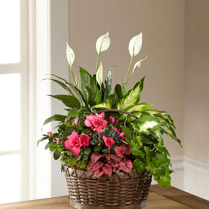 Dream in Pink Dishgarden – SOUTHERN BELLE'S FLORIST, Easley SC
