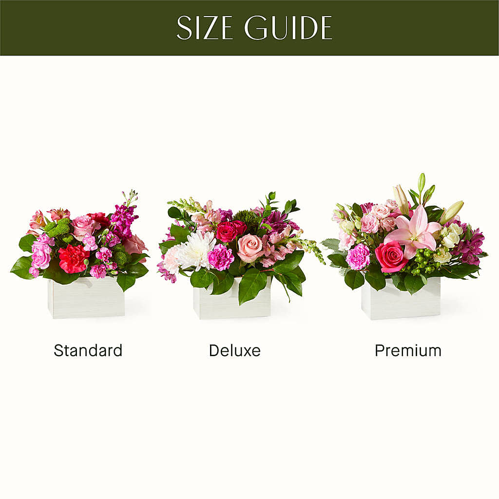 Sweetberry Box – A Florist Original – SOUTHERN BELLE'S FLORIST, Easley SC