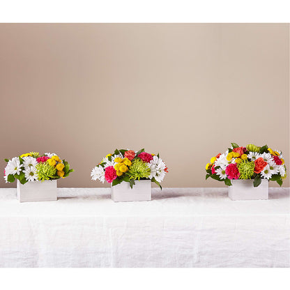 Sorbet Bouquet – SOUTHERN BELLE'S FLORIST, Easley SC