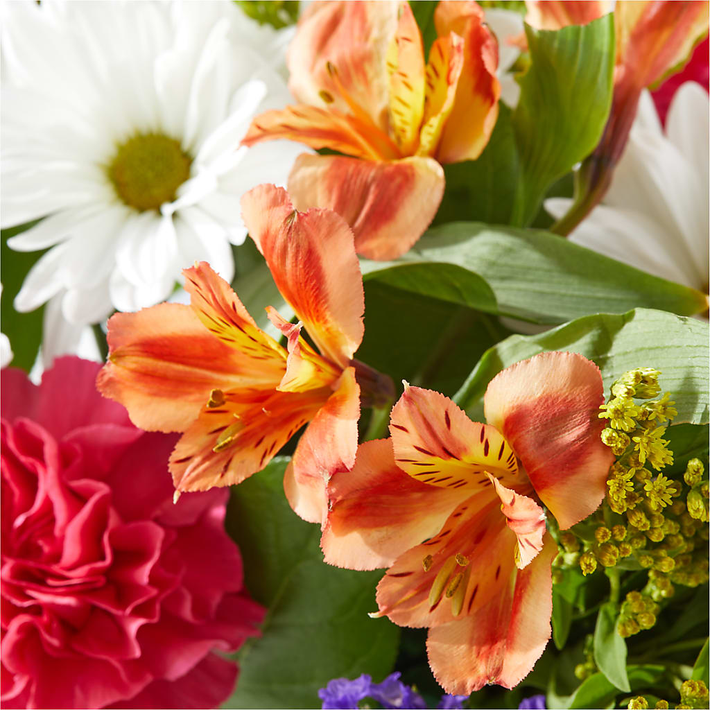 Oopsie Daisy Box Bouquet – SOUTHERN BELLE'S FLORIST, Easley SC