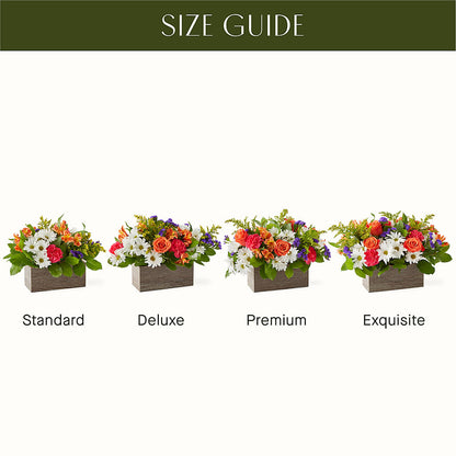 Oopsie Daisy Box Bouquet – SOUTHERN BELLE'S FLORIST, Easley SC