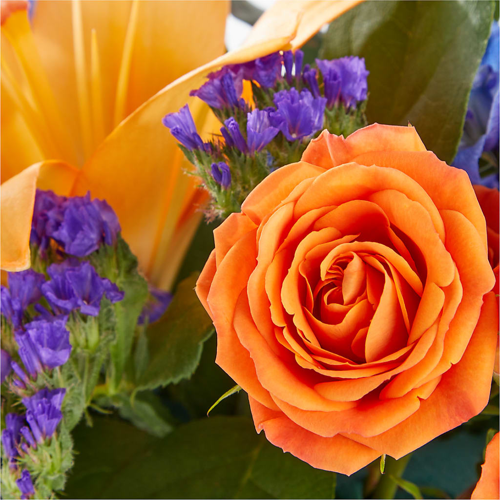 Radiant Citrus Box Bouquet – SOUTHERN BELLE'S FLORIST, Easley SC