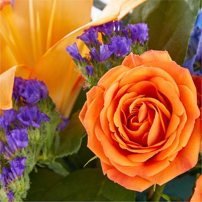 Radiant Citrus Box Bouquet – SOUTHERN BELLE'S FLORIST, Easley SC