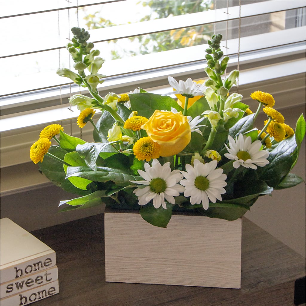 Sun Salutation Box Bouquet – SOUTHERN BELLE'S FLORIST, Easley SC