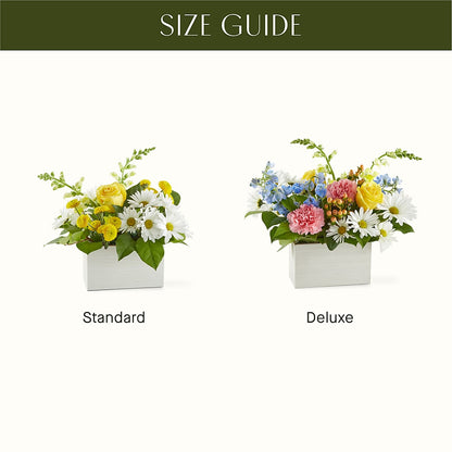 Sun Salutation Box Bouquet – SOUTHERN BELLE'S FLORIST, Easley SC