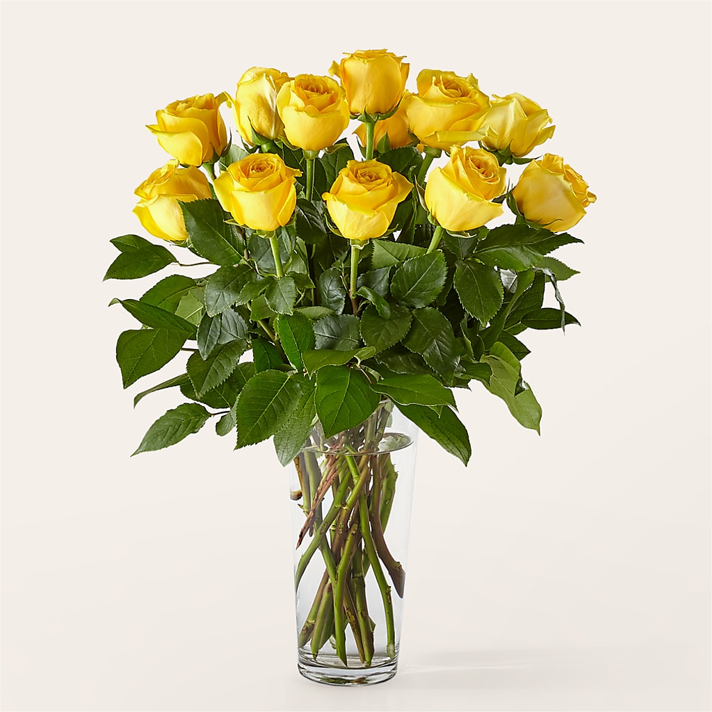 Long Stem Yellow Rose Bouquet – SOUTHERN BELLE'S FLORIST, Easley SC