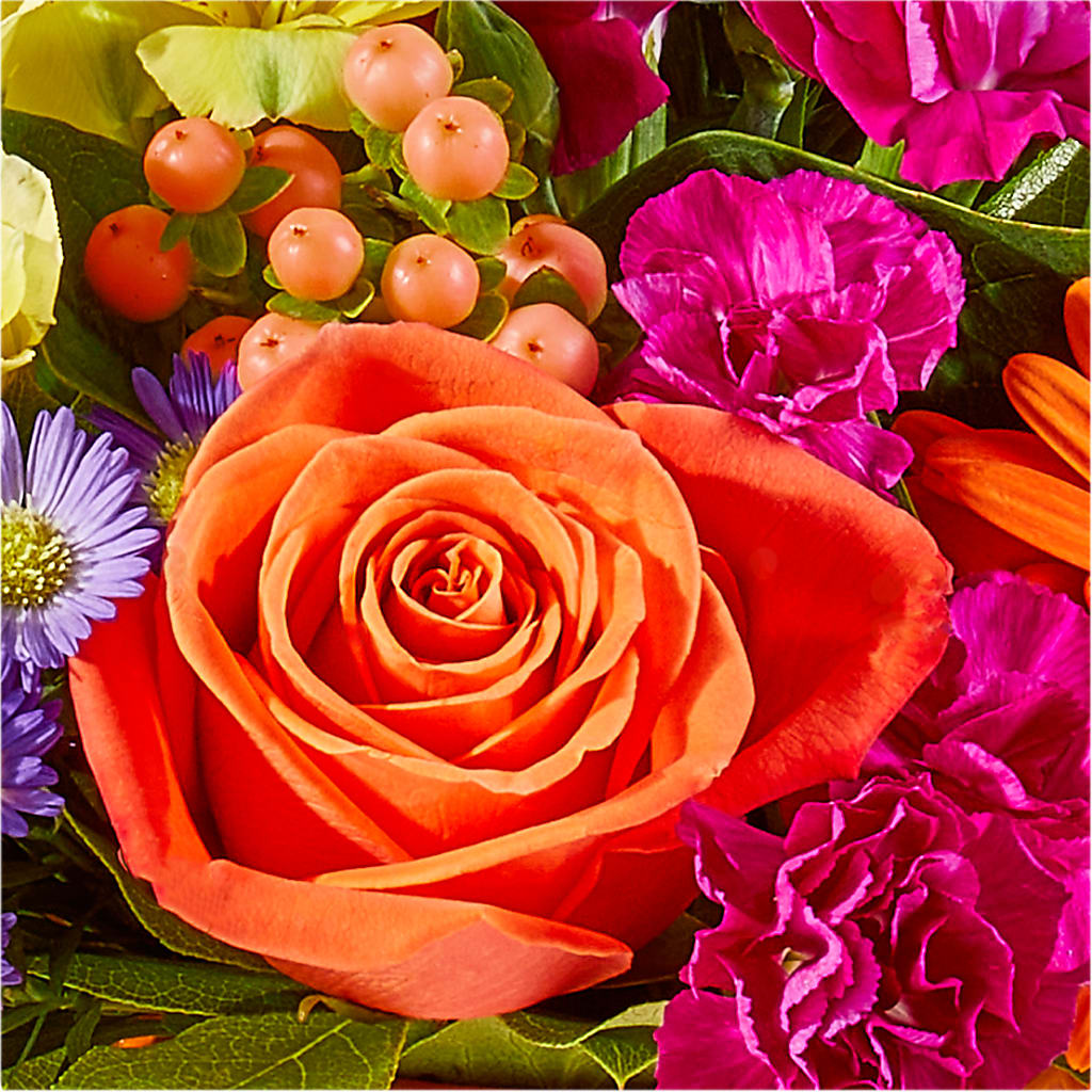 Tricks & Treats Pumpkin – SOUTHERN BELLE'S FLORIST, Easley SC
