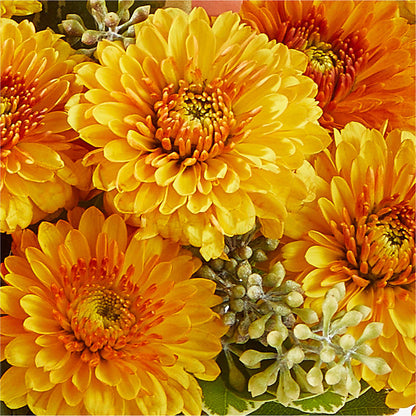 Peachy Pumpkin – SOUTHERN BELLE'S FLORIST, Easley SC