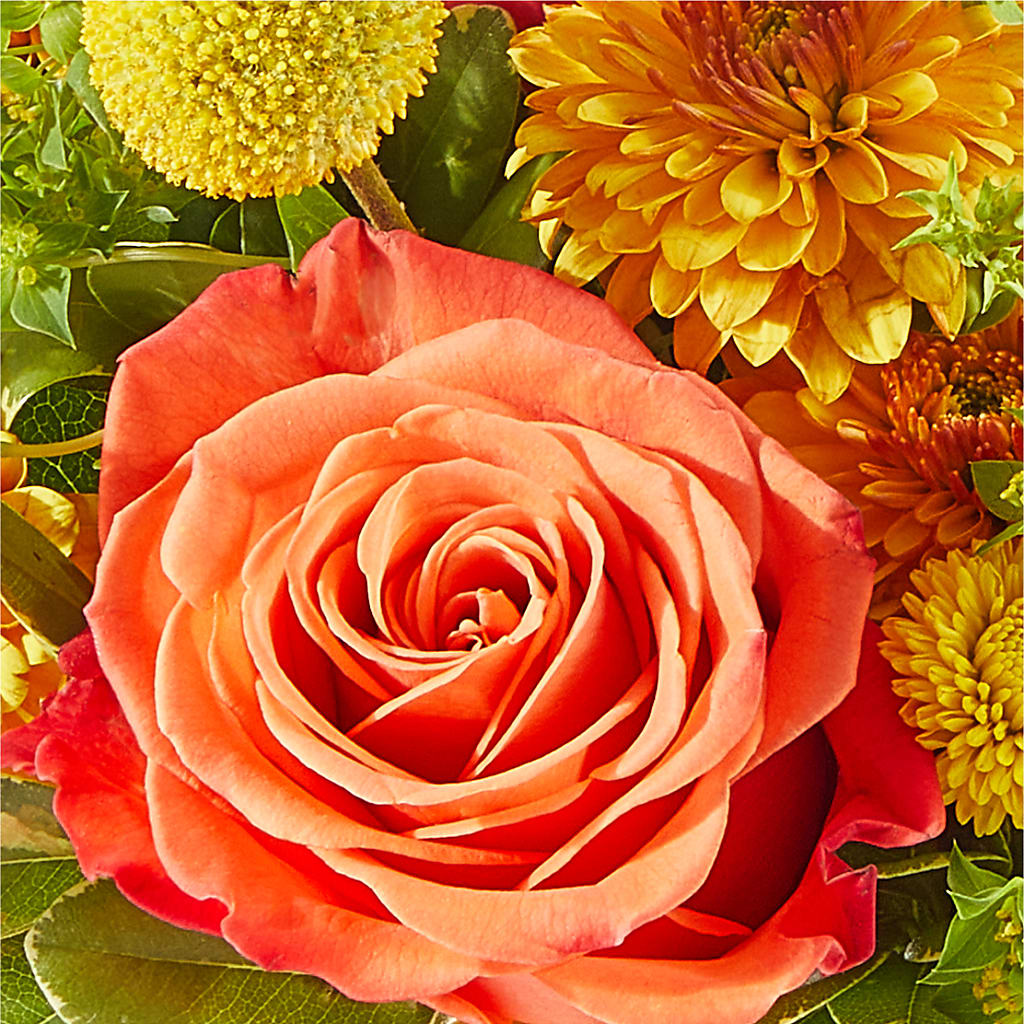 Gourdgeous Pumpkin – SOUTHERN BELLE'S FLORIST, Easley SC