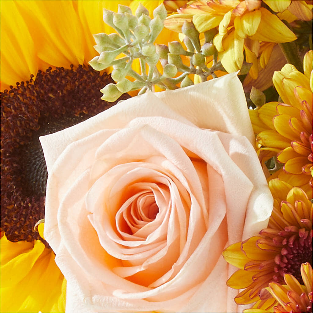 Pumpkin to Talk About Bouquet – SOUTHERN BELLE'S FLORIST, Easley SC