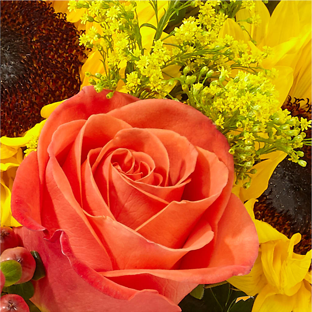 Pick of the Patch Pumpkin Bouquet – SOUTHERN BELLE'S FLORIST, Easley SC