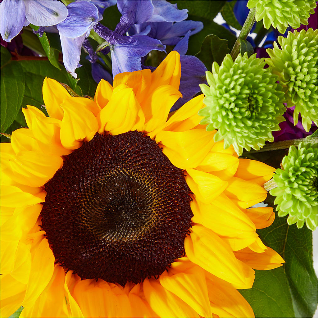 Catching Rays Bouquet – SOUTHERN BELLE'S FLORIST, Easley SC