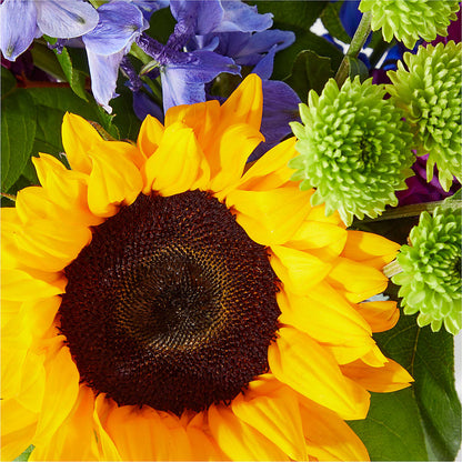 Catching Rays Bouquet – SOUTHERN BELLE'S FLORIST, Easley SC