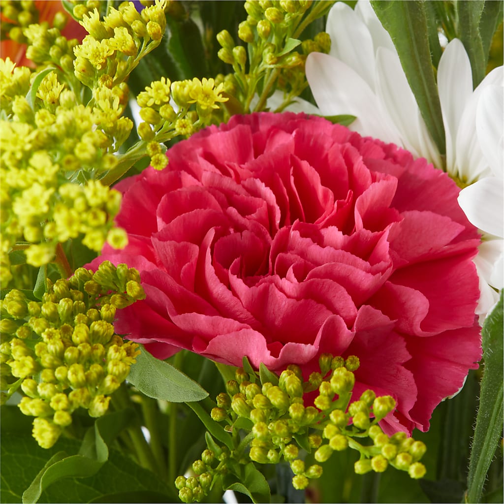 Oopsie Daisy Bouquet – SOUTHERN BELLE'S FLORIST, Easley SC