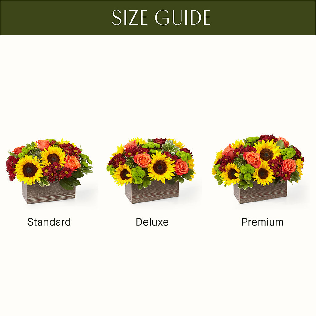Happy Harvest Garden – SOUTHERN BELLE'S FLORIST, Easley SC