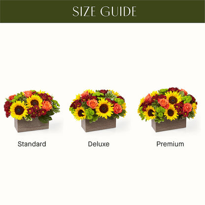 Happy Harvest Garden – SOUTHERN BELLE'S FLORIST, Easley SC