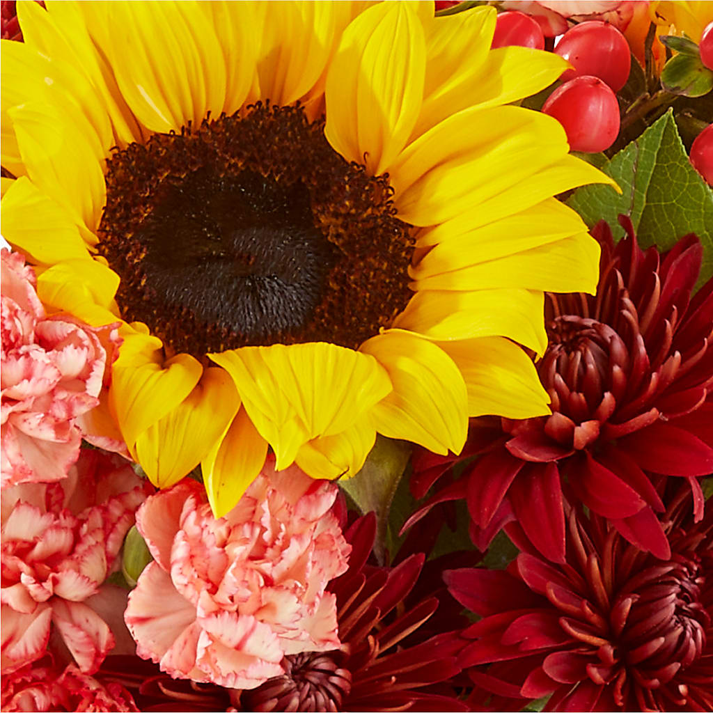 Fresh Cider Bouquet – SOUTHERN BELLE'S FLORIST, Easley SC