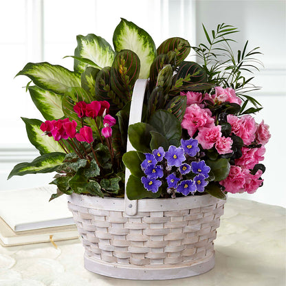 Peaceful Garden Planter – SOUTHERN BELLE'S FLORIST, Easley SC