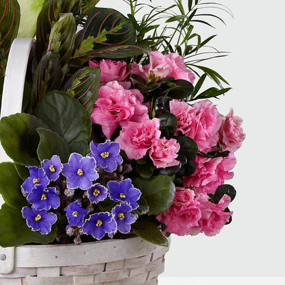 Peaceful Garden Planter – SOUTHERN BELLE'S FLORIST, Easley SC