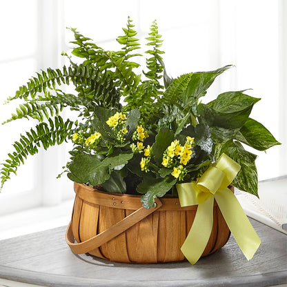 Always Dear Dishgarden – SOUTHERN BELLE'S FLORIST, Easley SC