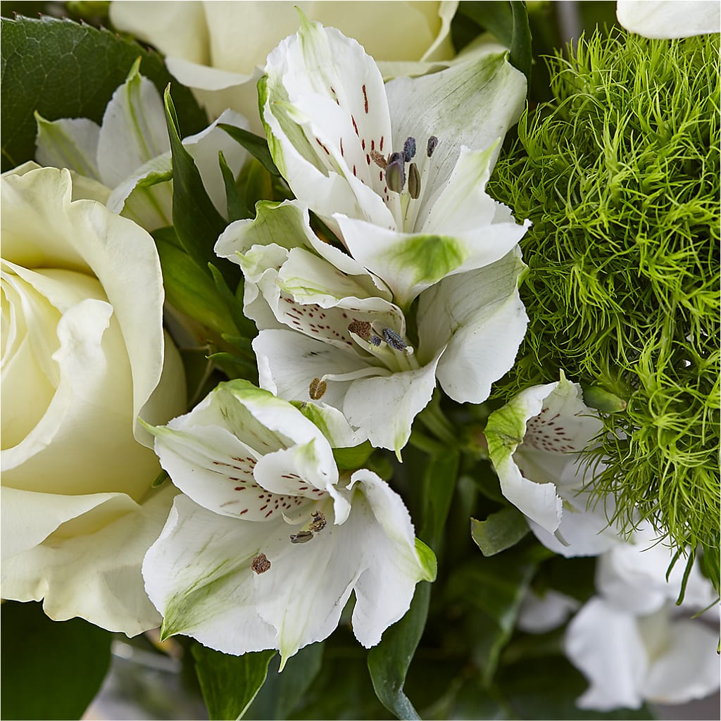 Classic Ivory – A Florist Original – SOUTHERN BELLE'S FLORIST, Easley SC