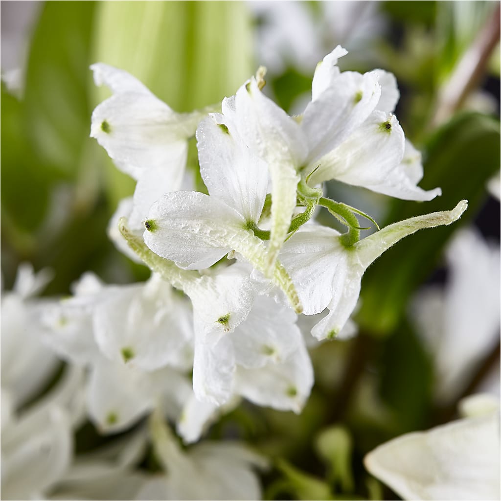 Classic Ivory – A Florist Original – SOUTHERN BELLE'S FLORIST, Easley SC