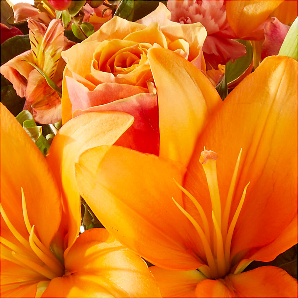 Afternoon Light Bouquet – SOUTHERN BELLE'S FLORIST, Easley SC