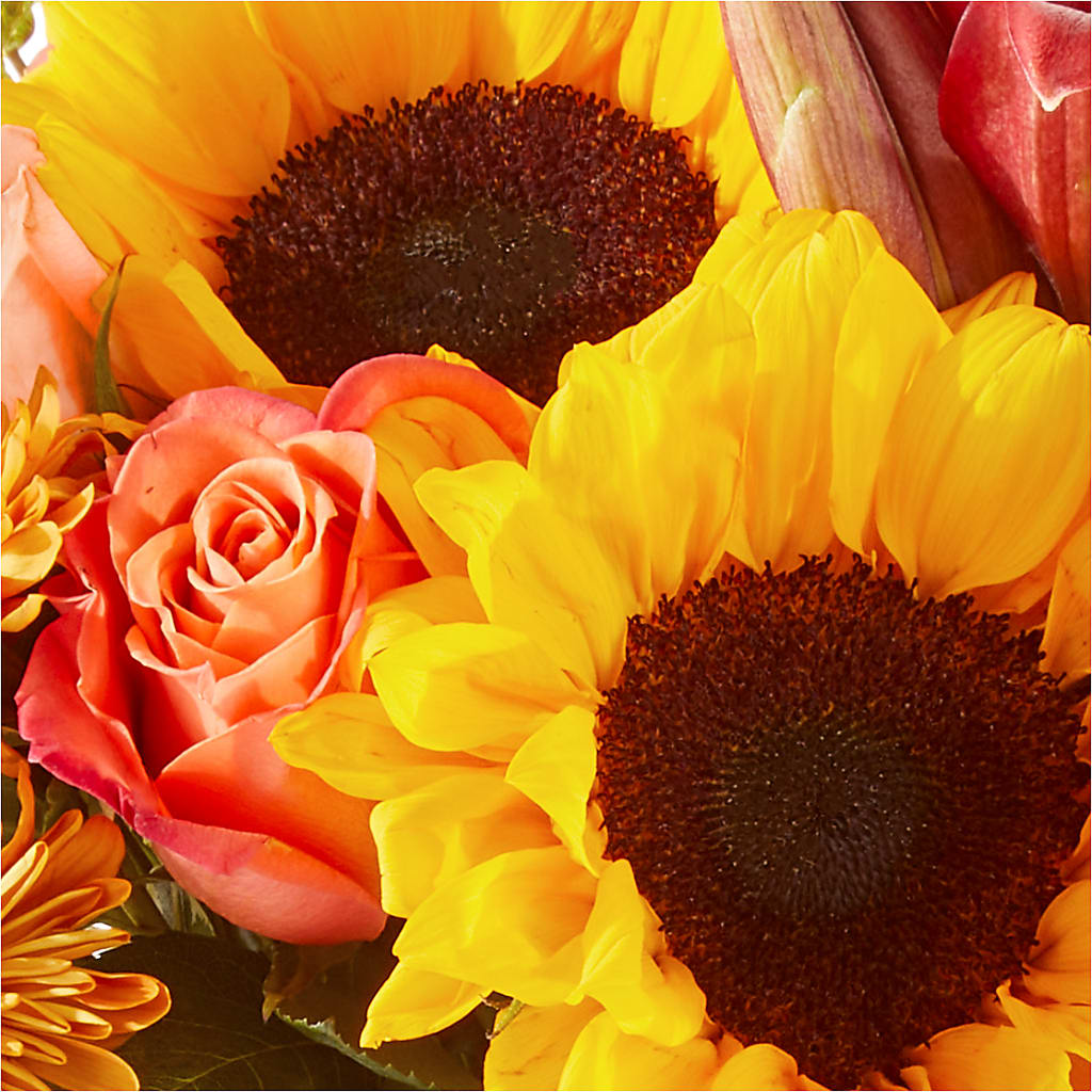 Acorn Lane Bouquet – SOUTHERN BELLE'S FLORIST, Easley SC