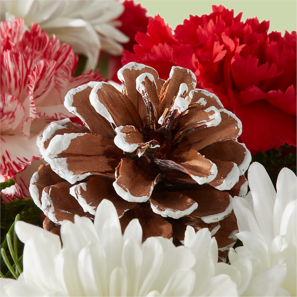 Candy Cane Lane Bouquet – SOUTHERN BELLE'S FLORIST, Easley SC