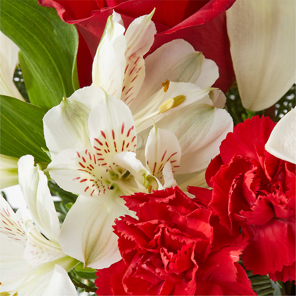 Holiday Season Bouquet – SOUTHERN BELLE'S FLORIST, Easley SC