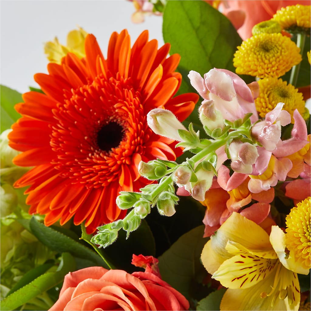 Autumn Sunshine Bouquet – SOUTHERN BELLE'S FLORIST, Easley SC