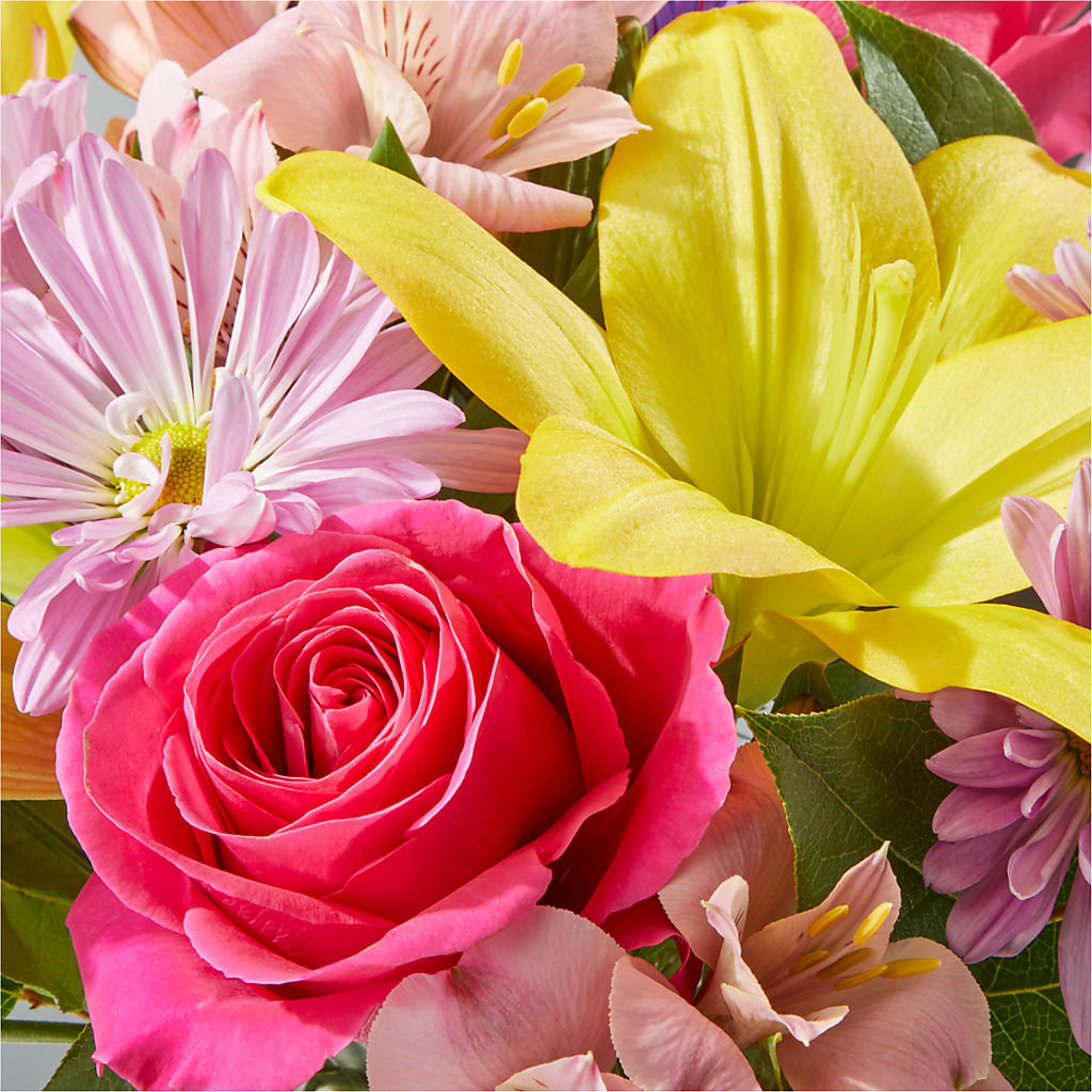 Sprinkles Bouquet – SOUTHERN BELLE'S FLORIST, Easley SC